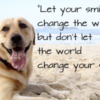 Let your smile change the world, but don’t let the world change your smile.